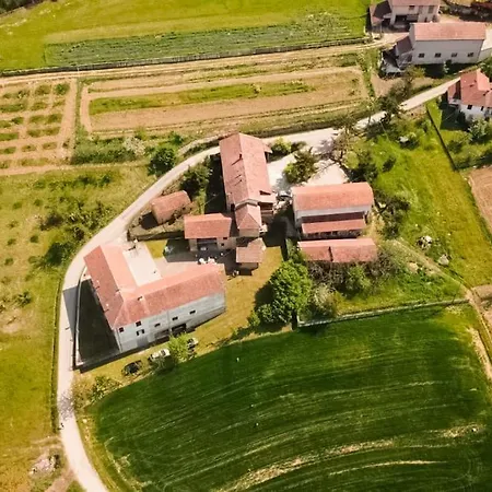 Casa Gio 18 Posti, Una Griglia, Mille Stelle Dom wakacyjny Ponti